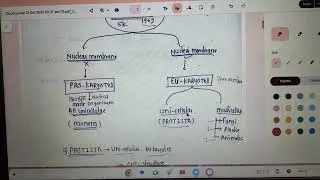 Biological classification Introduction Monera and Protista