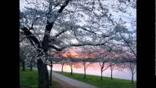Store N Forward  - Manga (original mix uplifting edit)