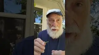 Mod Crappie Nibble for Panfishing