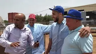 المدينة الحمراء مراكش تتألق بأبنائها الكرم وتختر أجود الأكباش من ضيعة الخير إخوان خليل 🏆
