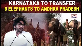 Karnataka to transfer 6 elephants to Andhra Pradesh amid concerns over animal welfare |CVR English
