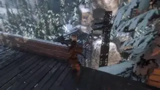 Rise of the tomb raider Campaign