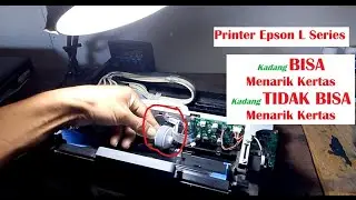 Printer Epson kadang bisa menarik kertas kadang tidak bisa menarik kertas