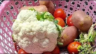 Live: दोपहर का ताज़ा-ताज़ा खाना #livestreams #@poojakirasoi-y9 #poojaki,rasoi #cooking