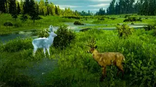 HOW TO PLAY AS A BUCK & SUMMON GHOST ANIMALS (RDO)
