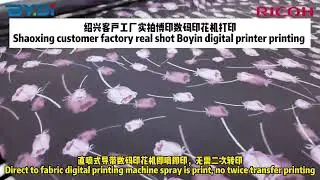 Dispersed of BYDI Printer used by Shaoxing customers is briefly introduced #fabricprinter #BYDI