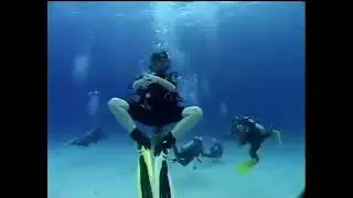 See the Sea: 