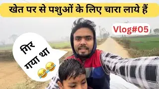 Khet par se pashuo ke liye chara laye hai 