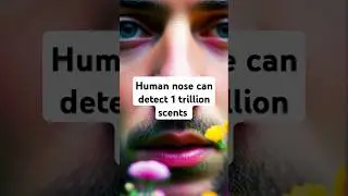 Human nose can detect 1 trillion scents #hanuman #facts #facts