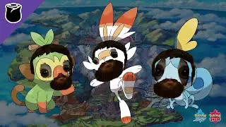 Pokemon Shield: тренировка VGC2020