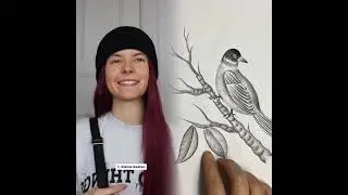 🤣👌👌👌2026 POV-Compilation: Unbedingt ansehen! Verrückte Clips #Humor #fypシ #POV #fyp #foryou 😍😜 