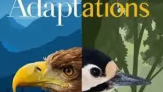 Adaptation in terrestrial animals