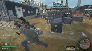 Days Gone