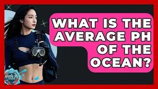 What Is The Average PH Of The Ocean? - The Marine Life Explorer
