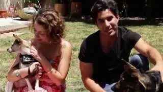Animal Adoption PSA