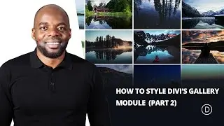 Using the Divi Gallery Module to Create a Tiled Gallery with Custom Padding