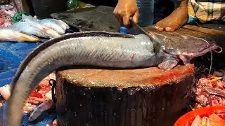 Big Catfish Cutting | Fresh Catfish Cleaning & Cutting | Village Fish Cutting Video