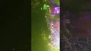 9 De Julio (Mar Del Plata 31 De Enero 2026)