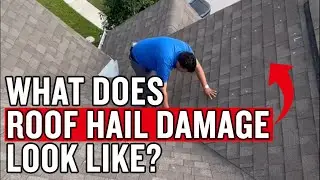 What Does Roof Hail Damage Look Like? (Real Examples & What to Do Next!)