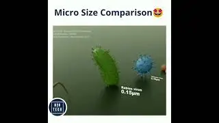 Smallest Cell to Largest Cell Size|| Cell Size Veriation|| Smallest Cell || Largest Cell