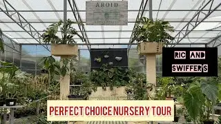 HOYA AND AROID TOUR OF PERFECT CHOICE NURSERY in the Miami area.