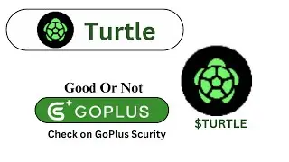 Токен Turtle ($TURTLE) хорош или нет?