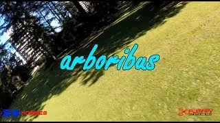 🤛🏼arboribus🤜🏼 - a highlight reel SN Hobbies