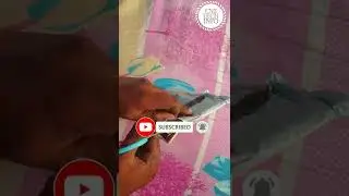 Shopsy 5 Rupees Product Unboxing|| Runi Mobile Stand Unboxing||CNS TECH INFO TAMIL||