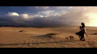 Vangelis - Damask Rose