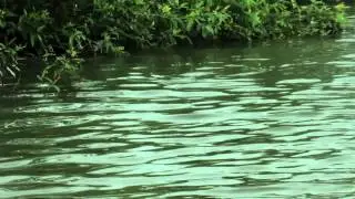 Fishing Safari web ver. #4