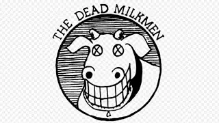 A PUNK CLASSIC!! | Punk Rock Girl - The Dead Milkmen (Reaction)