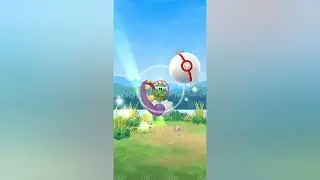 Raiding a Legendary Genie 🧞🧞 monster Tornadus in pokemon go  #pokemongo #pokemongoraid #tornadus