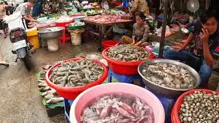 Cambodian Food Market- Fresh Fish, Chicken, Seafood, Meat, Vegetables @Piphum Thmey Morning Market 