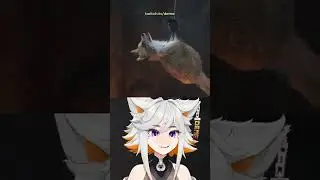 Not A Furry She Said... 🦊#vtuber #compilation #furry