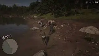 Catching Legendary Bluegill with Kieran