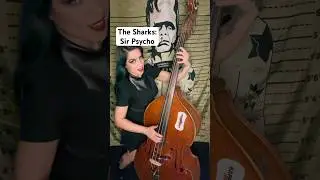 Demonica Does: The Sharks | Sir Psycho on Upright Bass