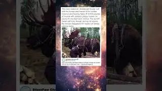 Man Trains Wild Moose as Work Animal   You Have to See This