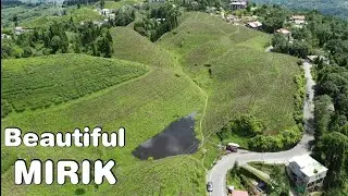 Beautiful Hills and Tea Garden Mirik Darjeeling