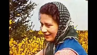 LATE 1940s-50s SUPER RARE COLOUR 8mm CINE FILM of Children playing in the countryside on a farm