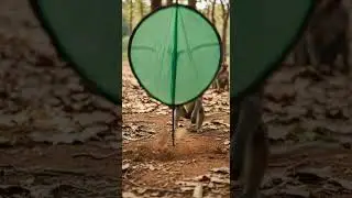 Funny Monkey Adventure: Testing Human Things Can Monkeys Master Phones #funny #monkey #adventure