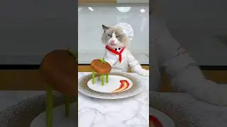 Real cats eat steaks #thatlittlepuff #steaks