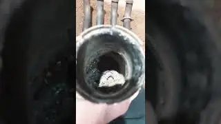 zx6r 2019 header/cat delete