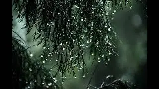 20 minutes of heavy rain and thunderstorms for relaxing and helps you to sleep