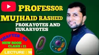 Difference b/w Prokayotic and Eukaryotic cells |Class 11 Biology Chapter 3(New Book, PECTAA 2025)