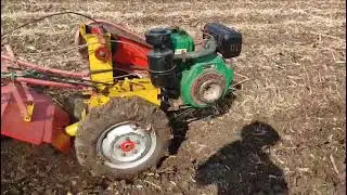 Jay Power weeder Sugar cane field. Green manure plant seeds spreading together.
