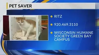 Petsaver: Ritz