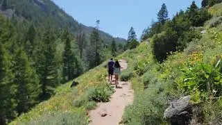 Shoshone National Forest