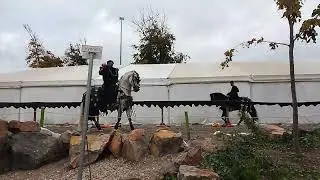 Kampf der Orks 2025 