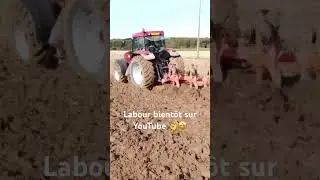Labour 2023 #maxxum170 #charrue #labour