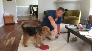 Teaching Walter to Spin